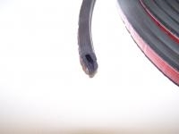 Compartment Seal "D" - Coleman (Per FT)